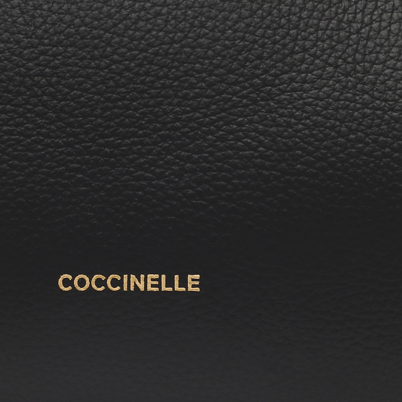 Кожаная сумка Coccinelle Boheme Grana Double